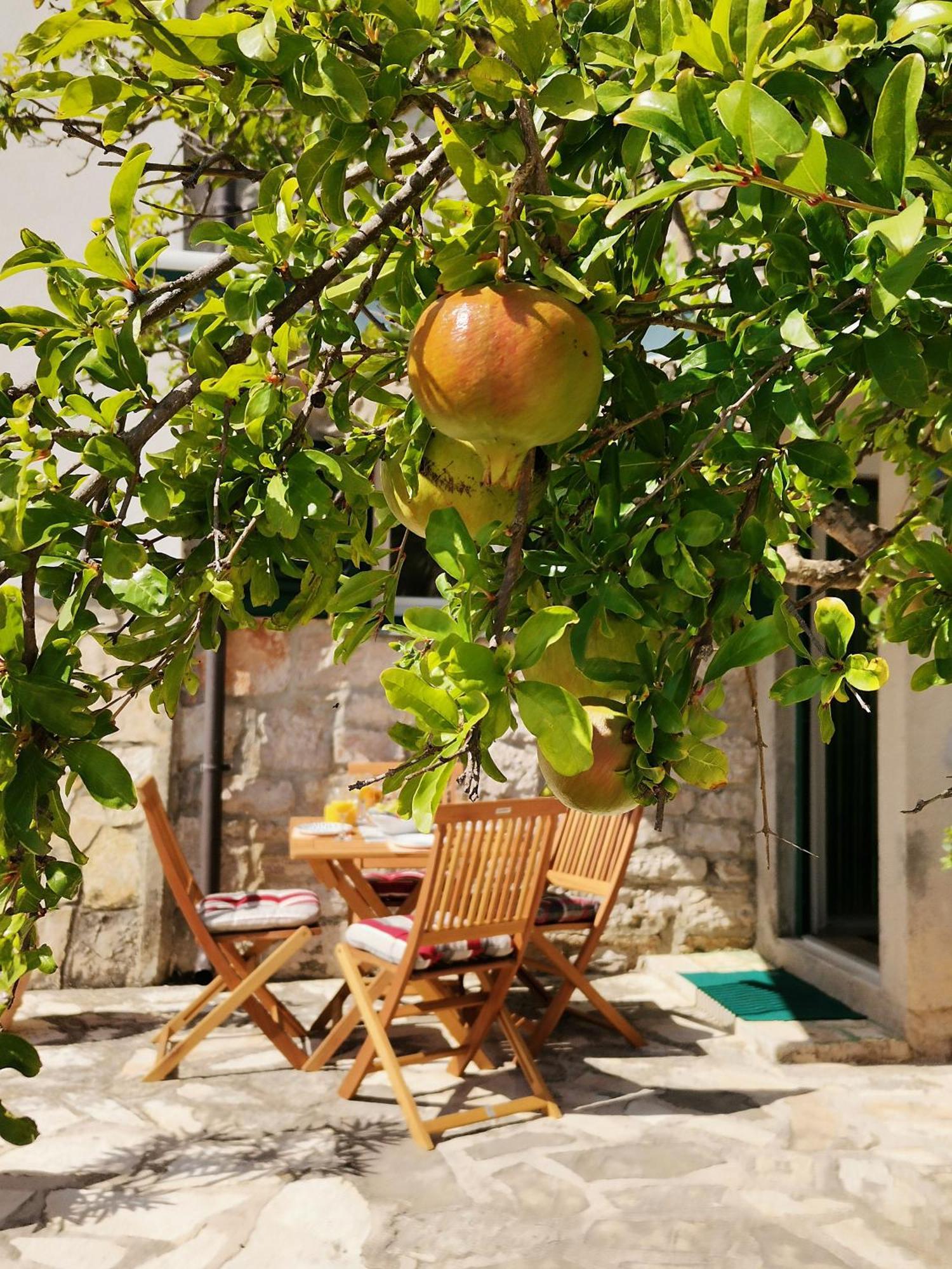 Charming Traditional Townhouse - Holiday Home Kata Jezera Exterior foto